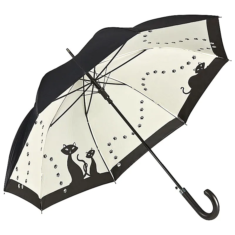 Fotoaufnahme Regenschirm mit Innendruck